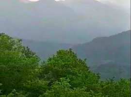 К продаже предложен земельный участок площадью 6,5га. Расположен в...