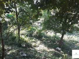 Продаётся земельный участок с фруктовыми деревьями в живописном...