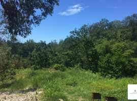 Участок в садовом товариществе Каштан. Находится в 200 метрах от...