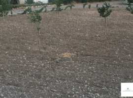 С/т родничок, земельный участок ровный, находится в экологически...