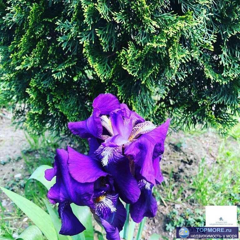 Уникальная квартира с террасой и шикарным видом! Всего две квартиры по низкой цене, рассрочка до года беспроцентная!...