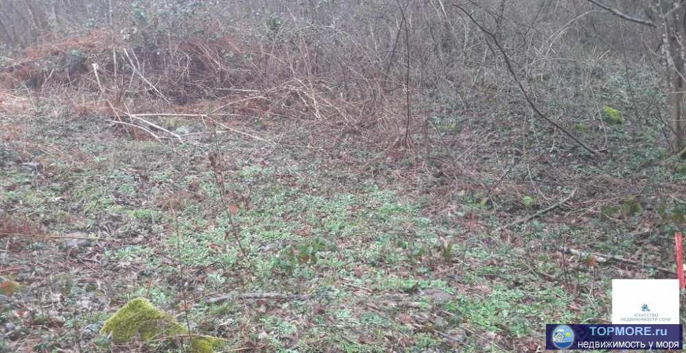 Продам участок в садоводстве , Строитель'  п.Хатлапе. Живописное место, ровный участок. Рядом речка. Участок граничит... - 2