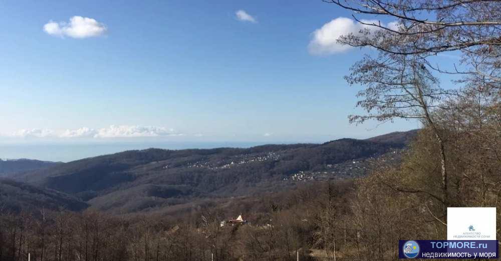 Участок с видом на море и горы. За участком нацпарк - растут каштаны, платаны. Очень красиво! Перспективный район,... - 2
