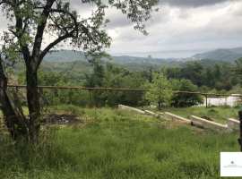 З/уч. ровный, вид на море и горы. Собственность. По периметру...