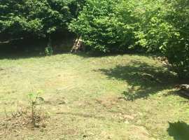 Продаю земельный участок с домом. Расположен в живописном районе,...