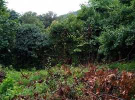 Продам земельный участок в районе Ахун. На участке есть небольшой...