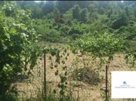 За сотку.Все вопросы по телефону.Рядом садик, школа,...