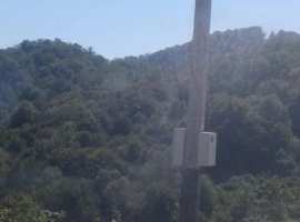 Продаю з/у ЛПХ , .село Красная Воля , на участке стоят два вагона...