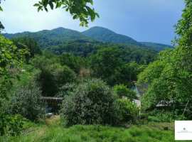 Продам участок -сад .Есть Дом жилой.Свой отдельный заезд.Сам...