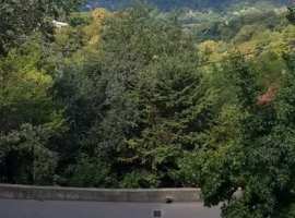 Продаю 3х комнатную, светлую квартиру с двумя балконами. Дом...