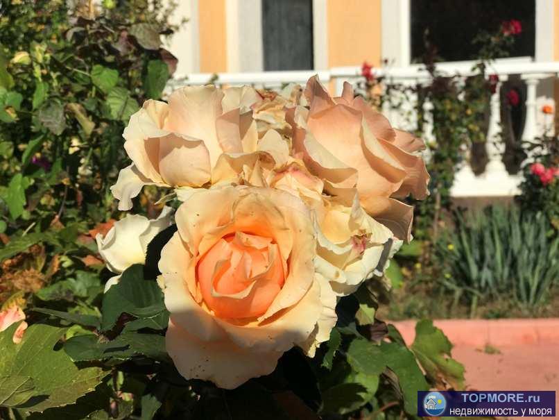 Приглашаем провести семейный отдых в Крыму! Частный пансионат в 3 минутах ходьбы до пляжа - первая линия от моря, на... - 16