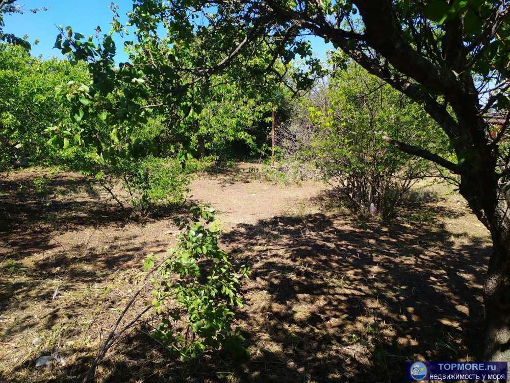 Предлагаем участок СТ Скиф, Юхарина балка, Камышовое шоссе. Кооператив жилой.  - Участок 4,5 сот, правильной формы,...