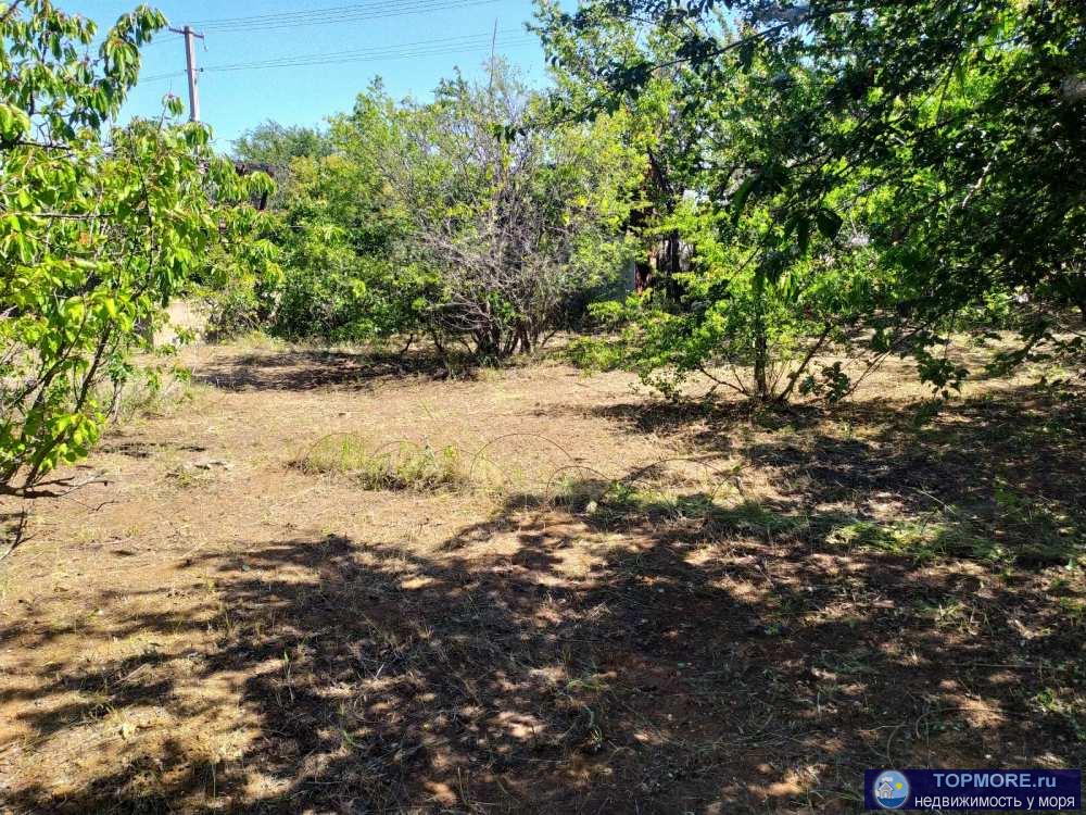 Предлагаем участок СТ Скиф, Юхарина балка, Камышовое шоссе. Кооператив жилой.  - Участок 4,5 сот, правильной формы,... - 1