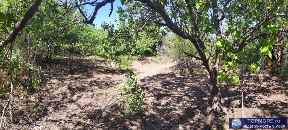 Предлагаем участок СТ Скиф, Юхарина балка, Камышовое шоссе. Кооператив жилой.  - Участок 4,5 сот, правильной формы,... - 4