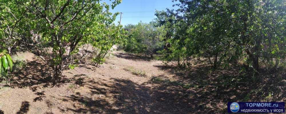 Предлагаем участок СТ Скиф, Юхарина балка, Камышовое шоссе. Кооператив жилой.  - Участок 4,5 сот, правильной формы,... - 5