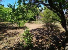 Предлагаем участок СТ Скиф, Юхарина балка, Камышовое шоссе....