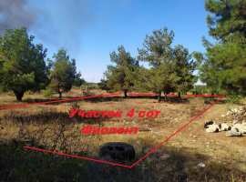 Продаем участок 4 сотки Фиолент, СТ Коммутатор. Жилой развивающийся...