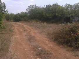 Три участка 8+12+12 соток, в СТ Таврия, в районе аэродрома ДОСААФ....