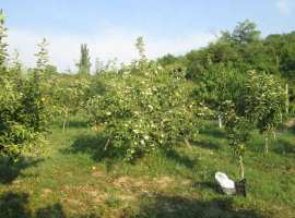 Очень красивое и живописное место,свежий воздух....