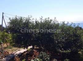 Продается участок 4 сот в СНТ Бриз на Фиоленте. Участок расположен...