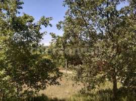 Продается участок 7,47 сот, СТ "Селена", Фиолент,...