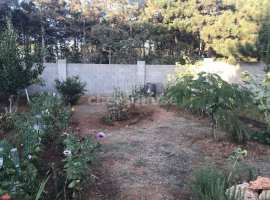 Участок на Фиоленте, СТ Конус, первая линия.

Отличный подъезд,...