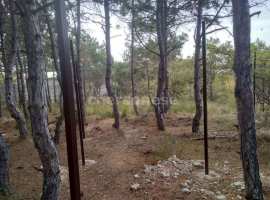 Район остановки "Бриз".  Хороший подъезд. Не значительный...