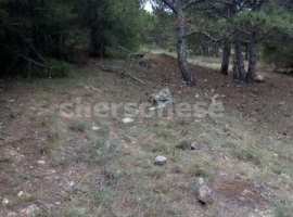 Ровный, правильной прямоугольной формы участок в СТ "Южный...