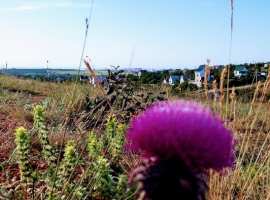 Продается  участок  10 сот. ИЖС  район СТ Торпеда 1. Участок...