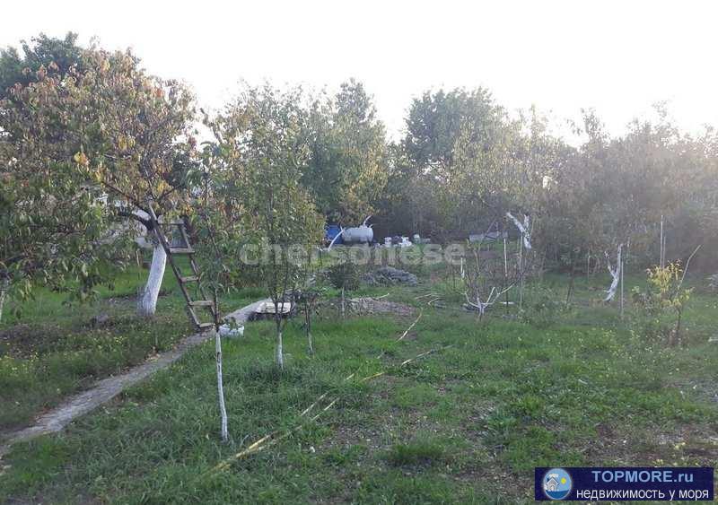 Продается участок в СТ «Медик-1» - 5,45 сот. В черте города. Очень хорошее место! Участок ровный, широкий заезд.... - 2