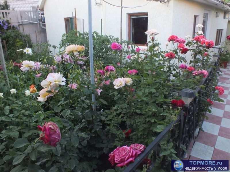 Двухкомнатный домик. До лучшего песчаного пляжа Феодосии 14 - 15 минут ходьбы пешком. В доме имеется 2 изолированные...