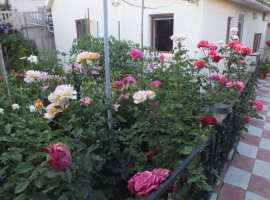 Двухкомнатный домик. До лучшего песчаного пляжа Феодосии 14 - 15...