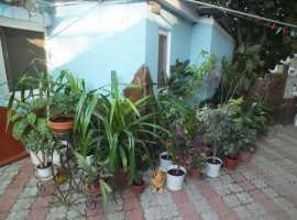 В частном секторе. Двор общий: ещё на две семьи.
В домостроении:...