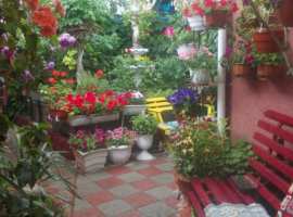 Сдается 4 комнатный дом в Феодосии по ул. Прокопенко.  До моря -...