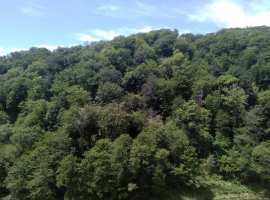 Продаю квартиру в современном жилом комплексе Министерские озера...