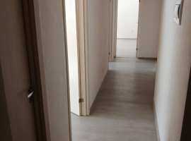 Красивые виды гор в тандеме с теплым субтропическим климатом...