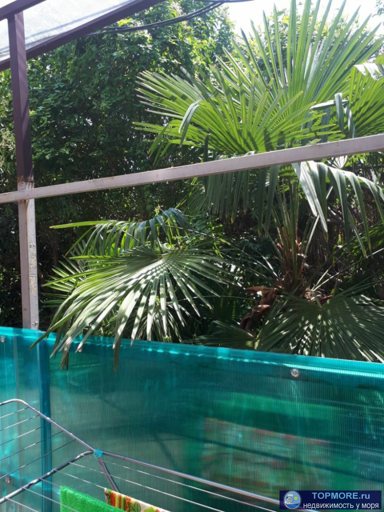 Студия с ремонтом и мебелью. Сдаётся в аренду. Жилая площадь 17м+11м терасса. - 1