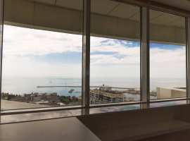 Продается пентхаус в доме бизнес класса. Пентхаус оборудован...