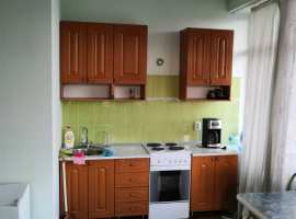 хорошая двух комнатная квартира эконом класса.