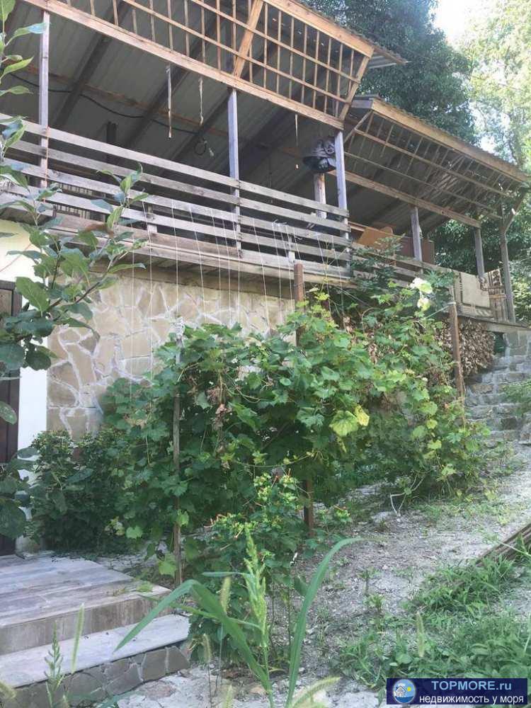 Продаю готовый бизнес на первой береговой линии моря!Расположен напротив Сочинского круглогодичного санатория АкваЛоо... - 1