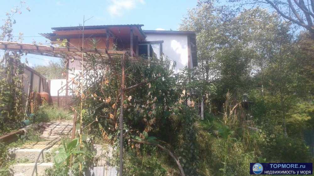 Продается уютный домик в с. Бестужевское. Дом деревянный, утеплен. В доме есть вода. Туалет, душ в доме. Есть газовая... - 1