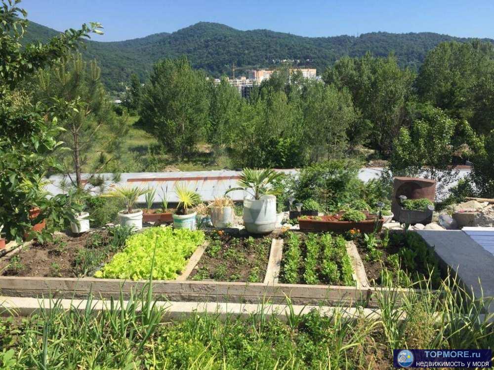 Продаётся земельный участок, площадью 1000 кв.м в п. Лазаревское ( район водоканала). Участок находится в... - 2