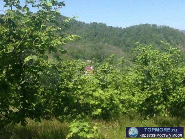 Продается дача в живописном месте - поселке Марьино Лазаревского р-на. Дача находится на участке размером 22 сотки...