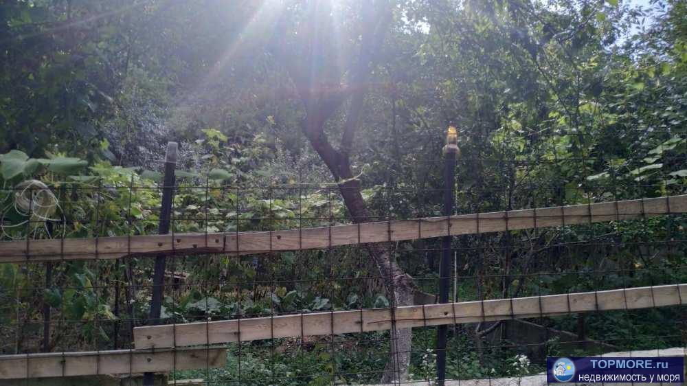 Продается небольшой 60м2 дачный домик. Построен по каркасной технологии. Две комнаты и кухня. За домом отличный... - 2