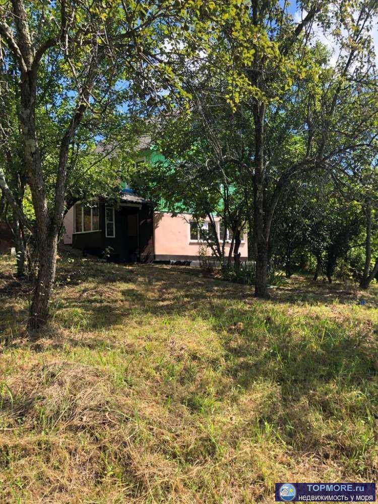 Продается дом в экологически чистом районе г.Сочи, п.Бестужевка Адлерского района. В снт - свое управление, несколько... - 1