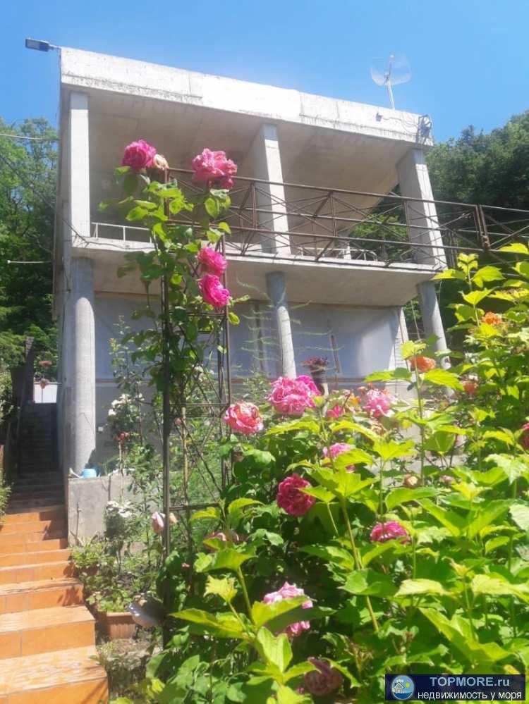 Продается дом в самом экологически чистом районе города. Дом находится в окружении деревьев, рядом с лесным массивом.... - 1