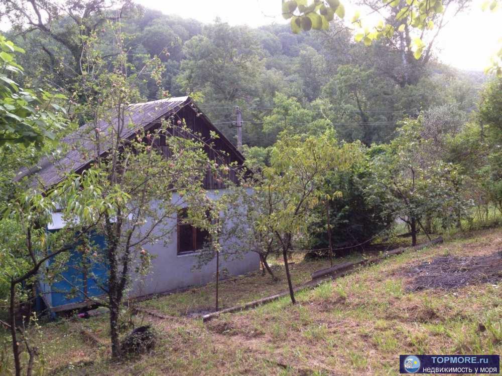 Продается дача с земельным участком в Вардане в Лазаревском районе Сочи. Площадь  дома - 35 кв.м. Площадь участка - 5... - 1