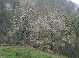 Продаётся 2-этажный дом в Адлере, 96 кв.м. 1-этаж с ремонтом....