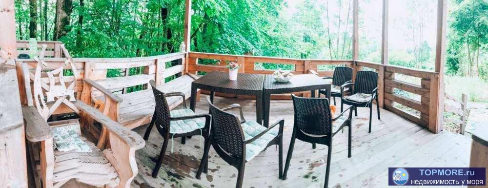 Продаю дачу в самом зеленом и экологичном для здоровья районе Сочи.Дача находится в мацестинской долине. Рядом чайные... - 1