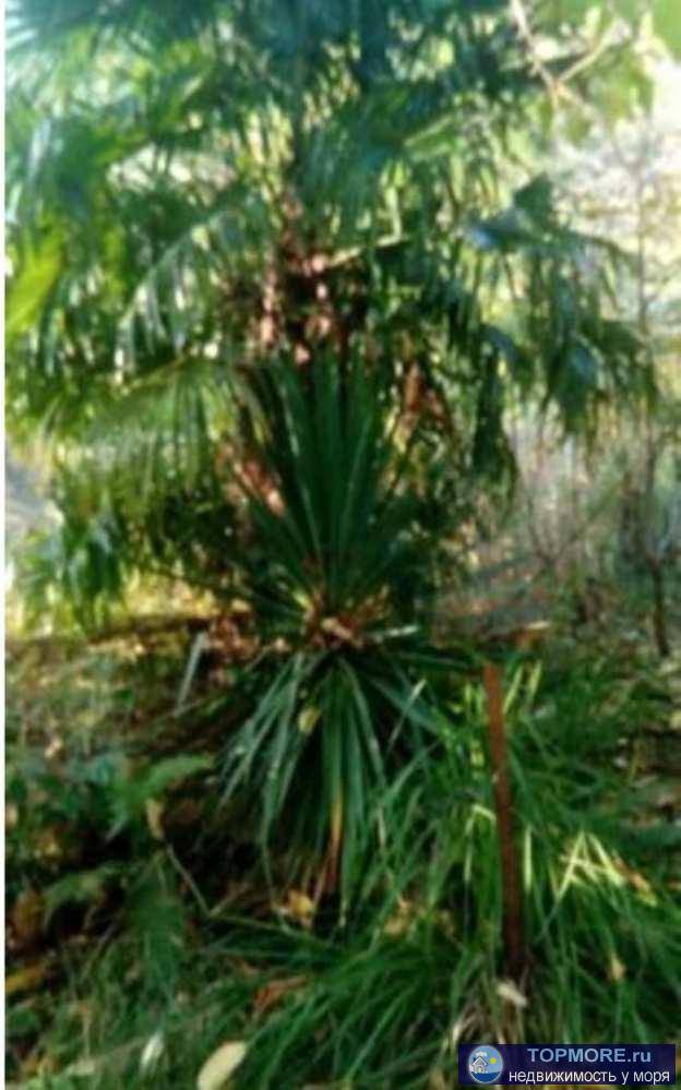 Дом площадью 112.8 и участок площадью 481 м расположены в живописном месте, Лазаревский район, чистейший воздух,... - 1